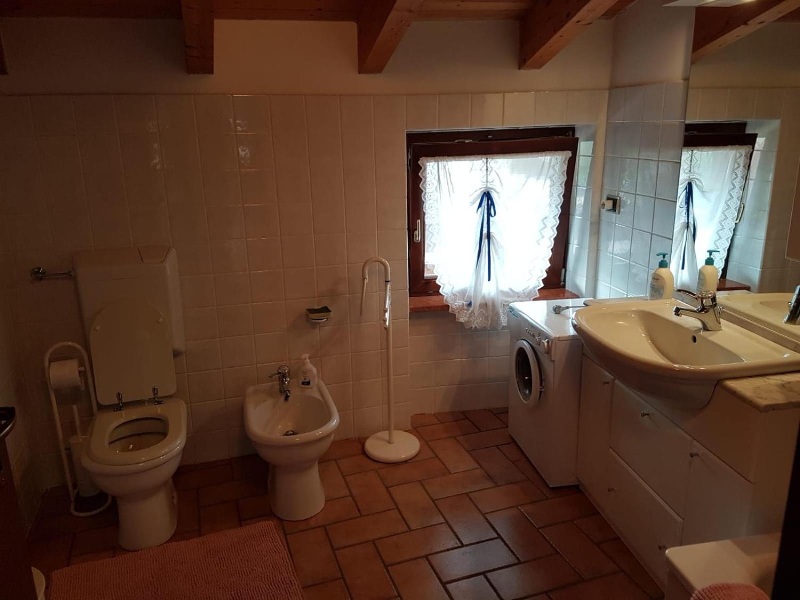Mansarda Dolomitica Apartment Ronzo-Chienis